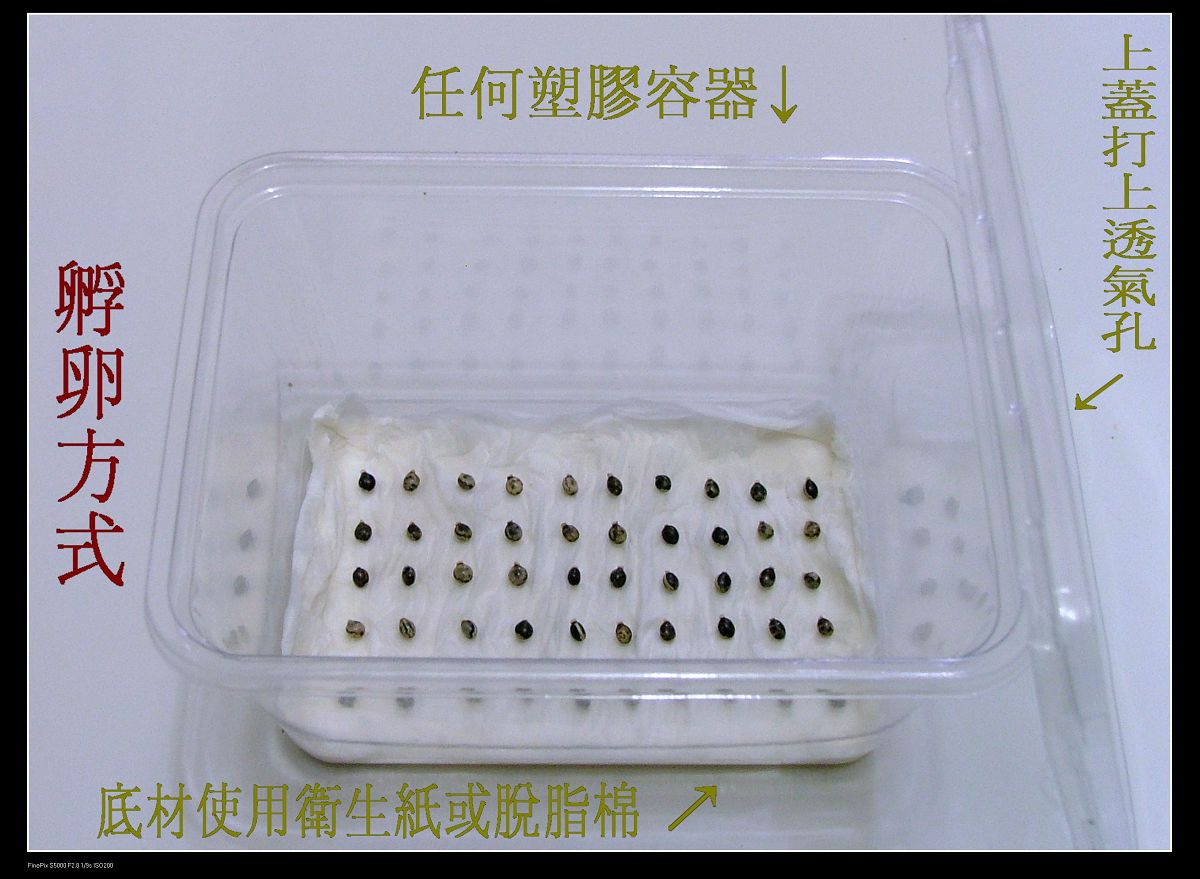 按此在新視窗瀏覽圖片