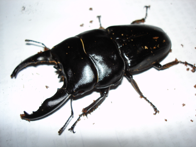 按此在新視窗瀏覽圖片