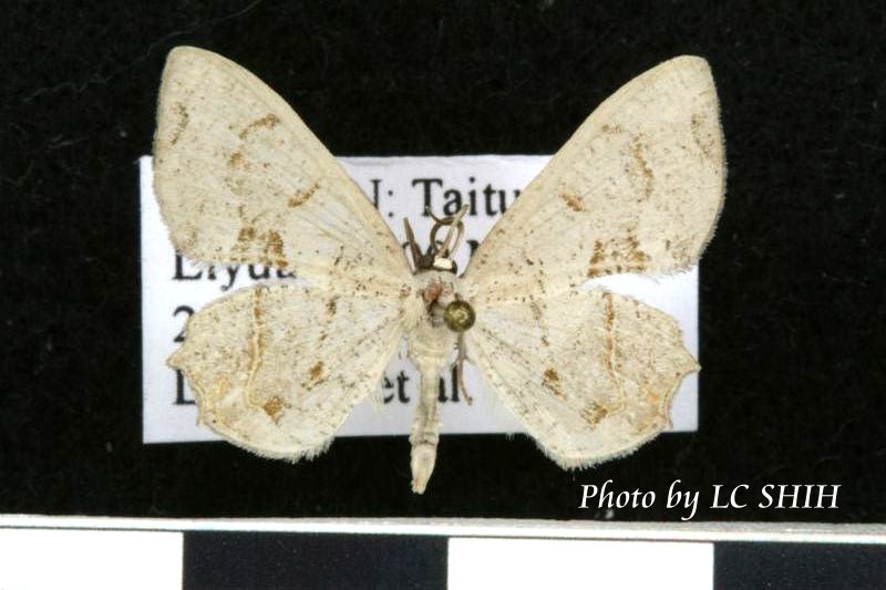 «ö¦¹¦b·sµøµ¡ÂsÄý¹Ï¤ù