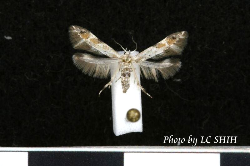 «ö¦¹¦b·sµøµ¡ÂsÄý¹Ï¤ù