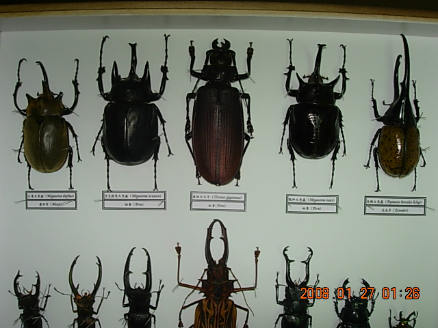 按此在新視窗瀏覽圖片