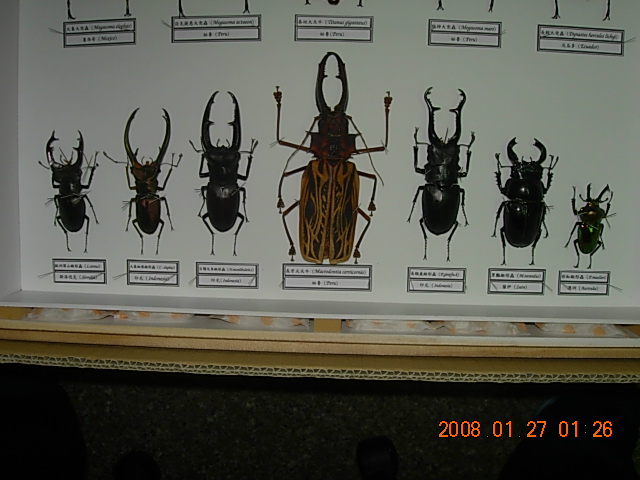 按此在新視窗瀏覽圖片