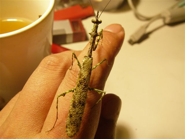 按此在新視窗瀏覽圖片