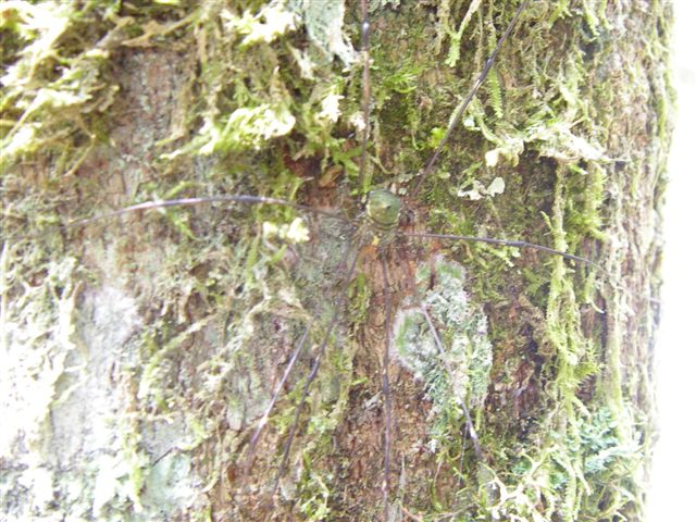 «ö¦¹¦b·sµøµ¡ÂsÄý¹Ï¤ù