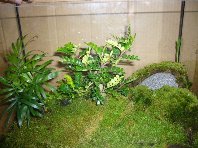 按此在新視窗瀏覽圖片