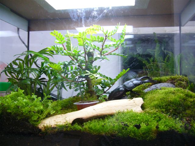 按此在新視窗瀏覽圖片