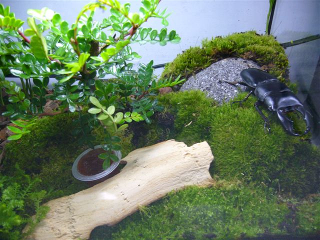 按此在新視窗瀏覽圖片