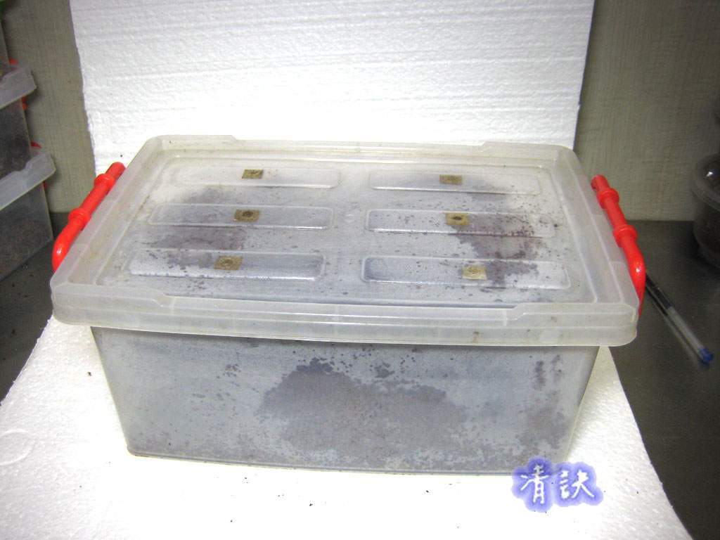 按此在新視窗瀏覽圖片