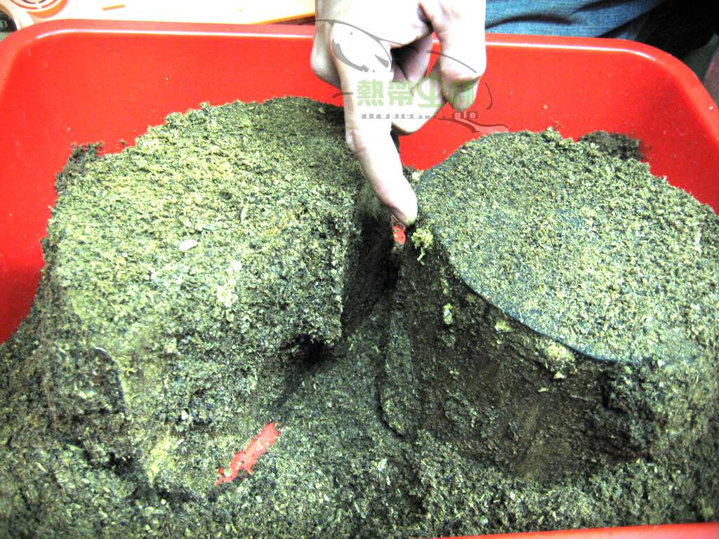 «ö¦¹¦b·sµøµ¡ÂsÄý¹Ï¤ù