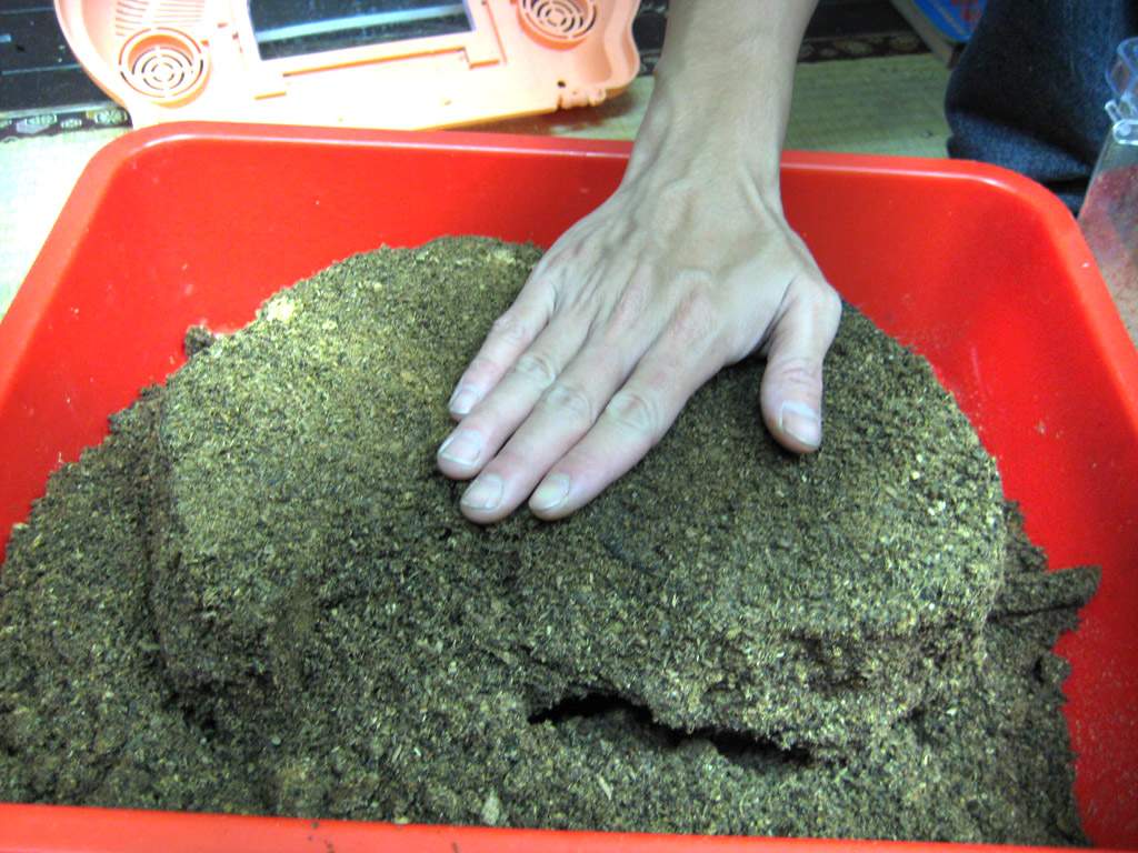 «ö¦¹¦b·sµøµ¡ÂsÄý¹Ï¤ù