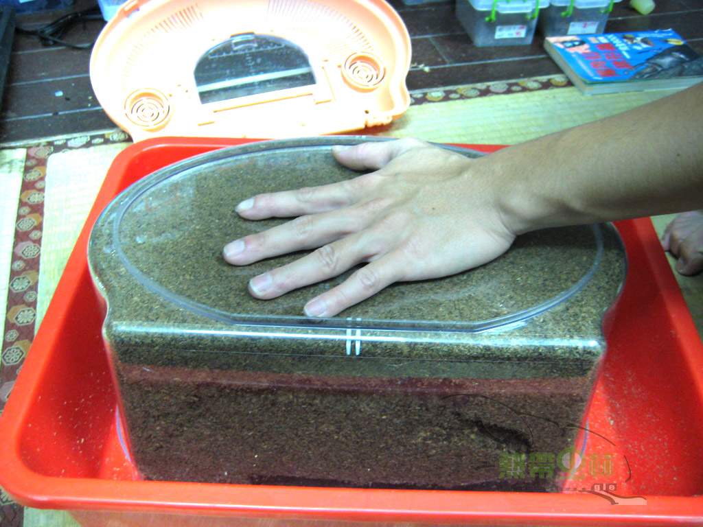 «ö¦¹¦b·sµøµ¡ÂsÄý¹Ï¤ù