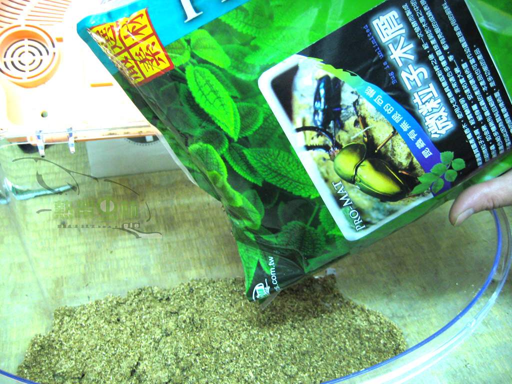 «ö¦¹¦b·sµøµ¡ÂsÄý¹Ï¤ù