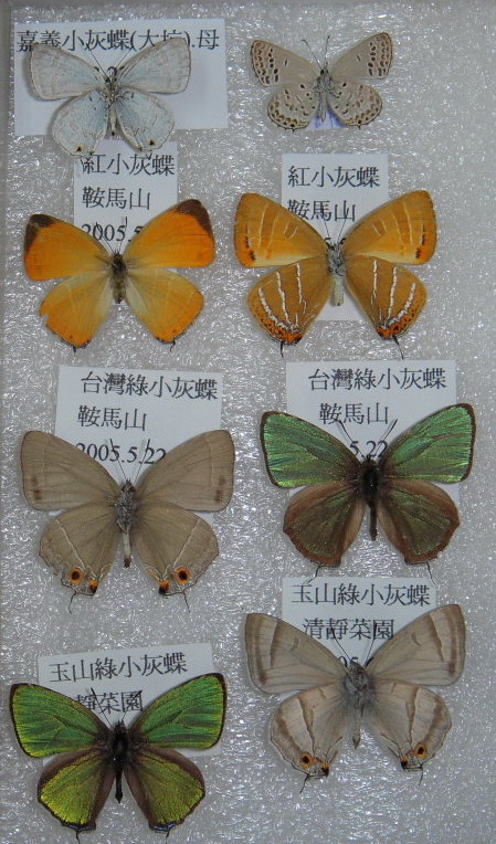 按此在新視窗瀏覽圖片