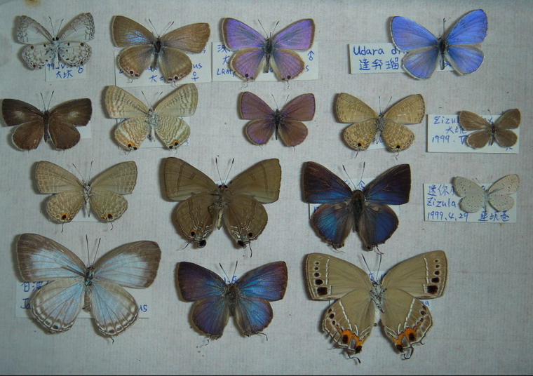 按此在新視窗瀏覽圖片