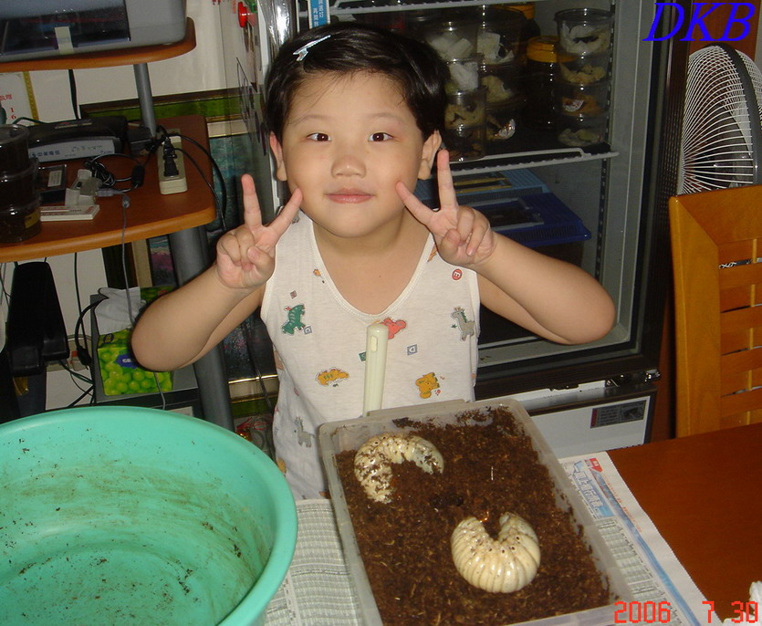 按此在新視窗瀏覽圖片