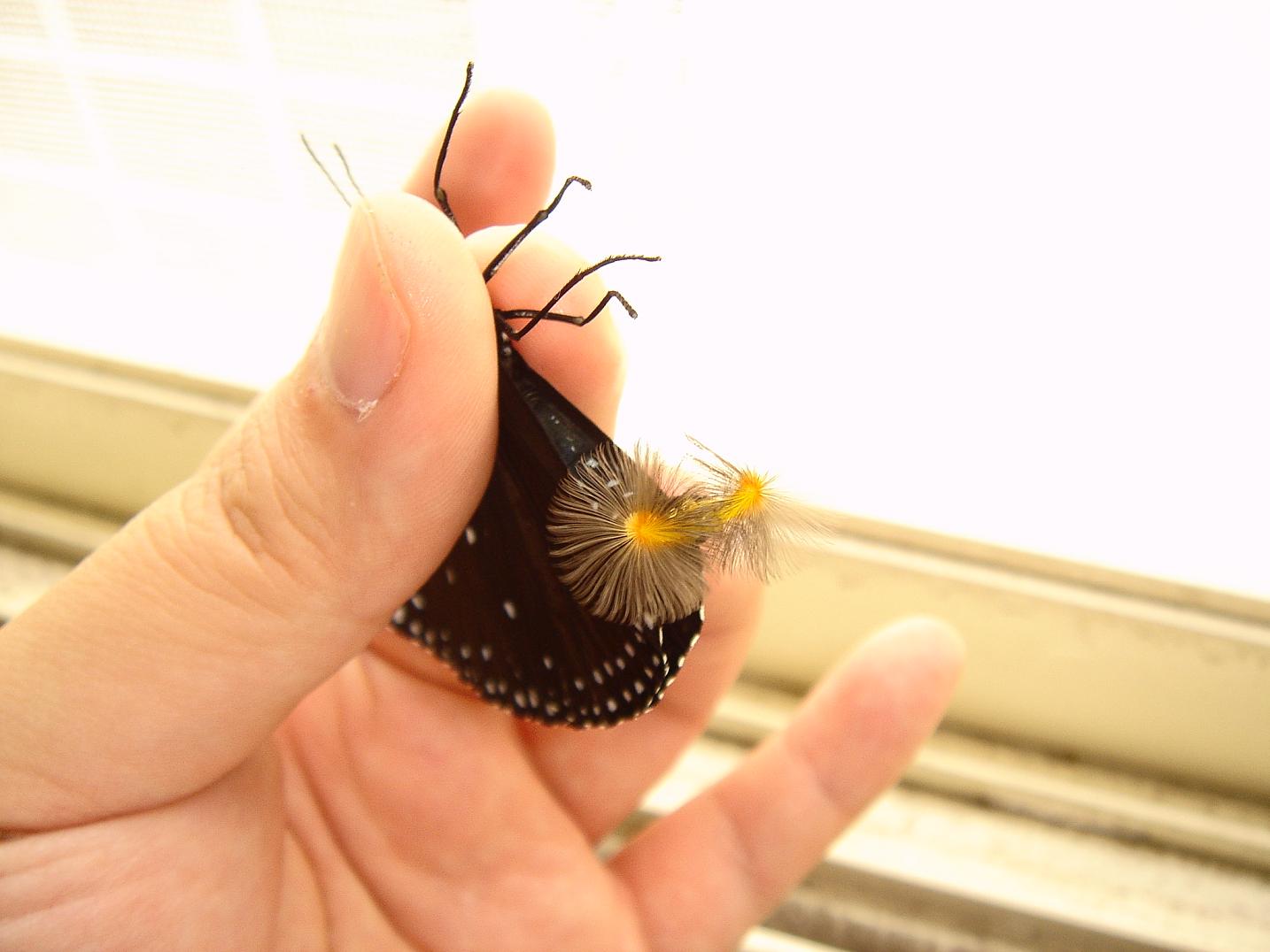 按此在新視窗瀏覽圖片