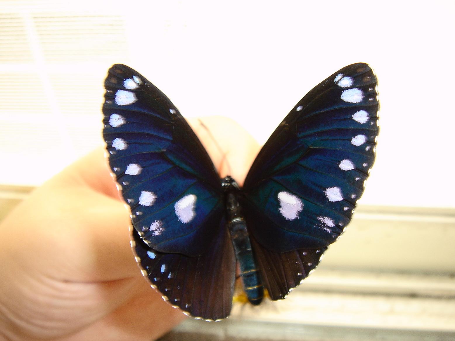 按此在新視窗瀏覽圖片