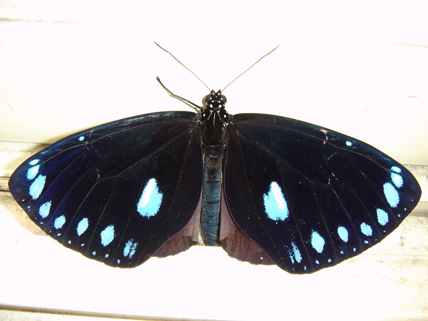 按此在新視窗瀏覽圖片