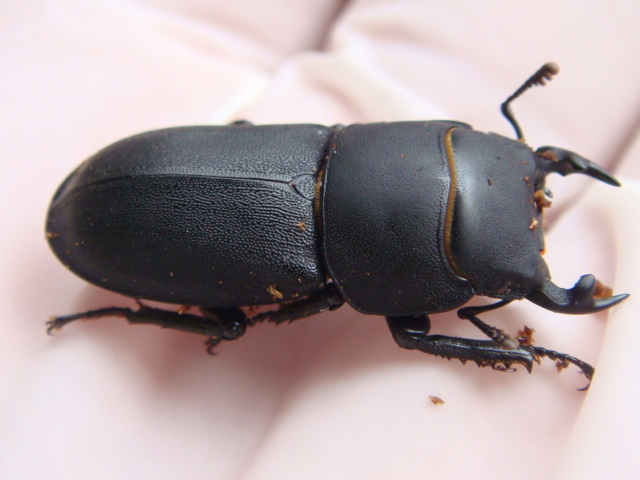 按此在新視窗瀏覽圖片