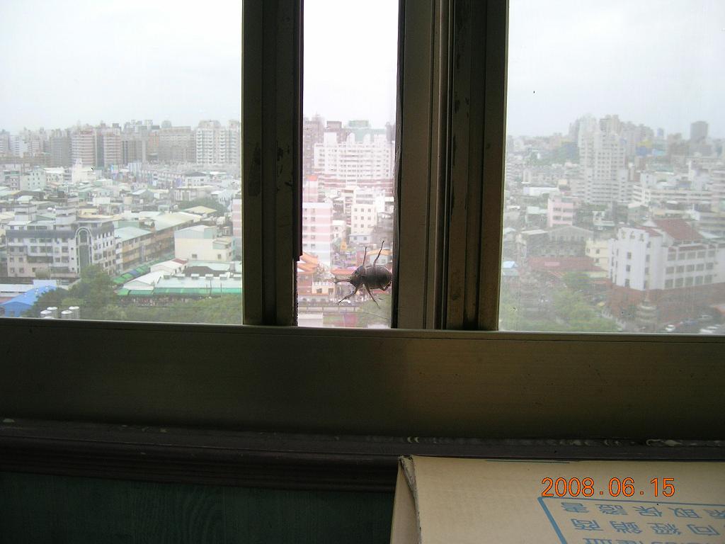 按此在新視窗瀏覽圖片