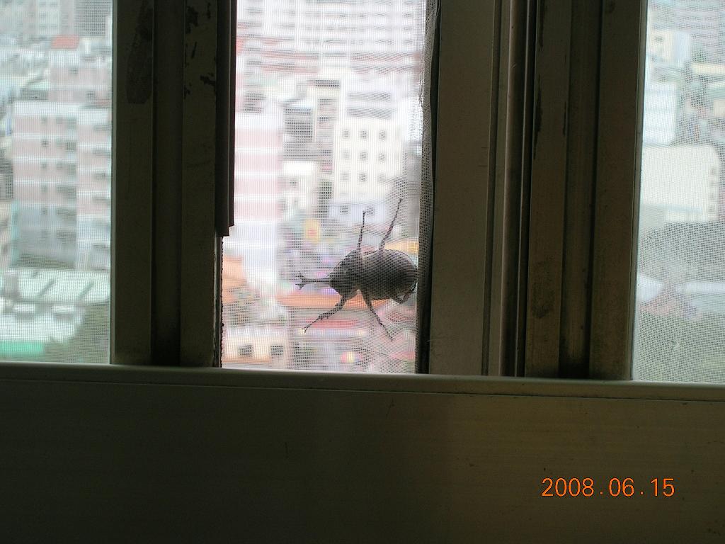 按此在新視窗瀏覽圖片