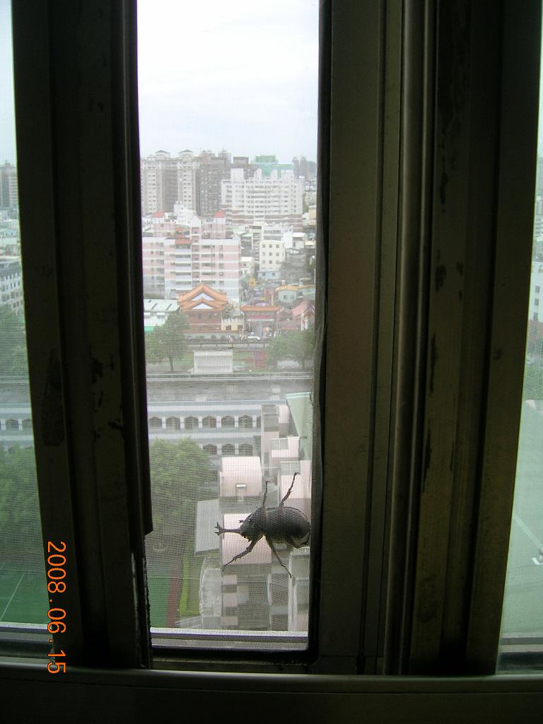 按此在新視窗瀏覽圖片