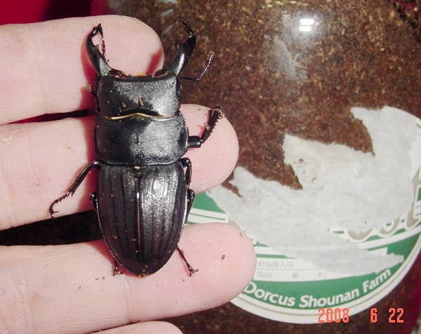 按此在新視窗瀏覽圖片