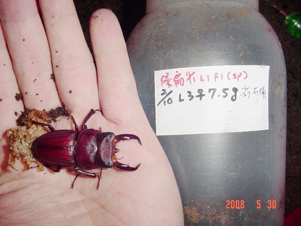 按此在新視窗瀏覽圖片