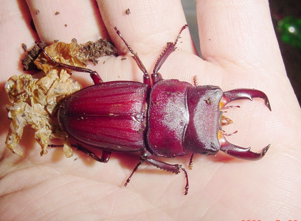 按此在新視窗瀏覽圖片