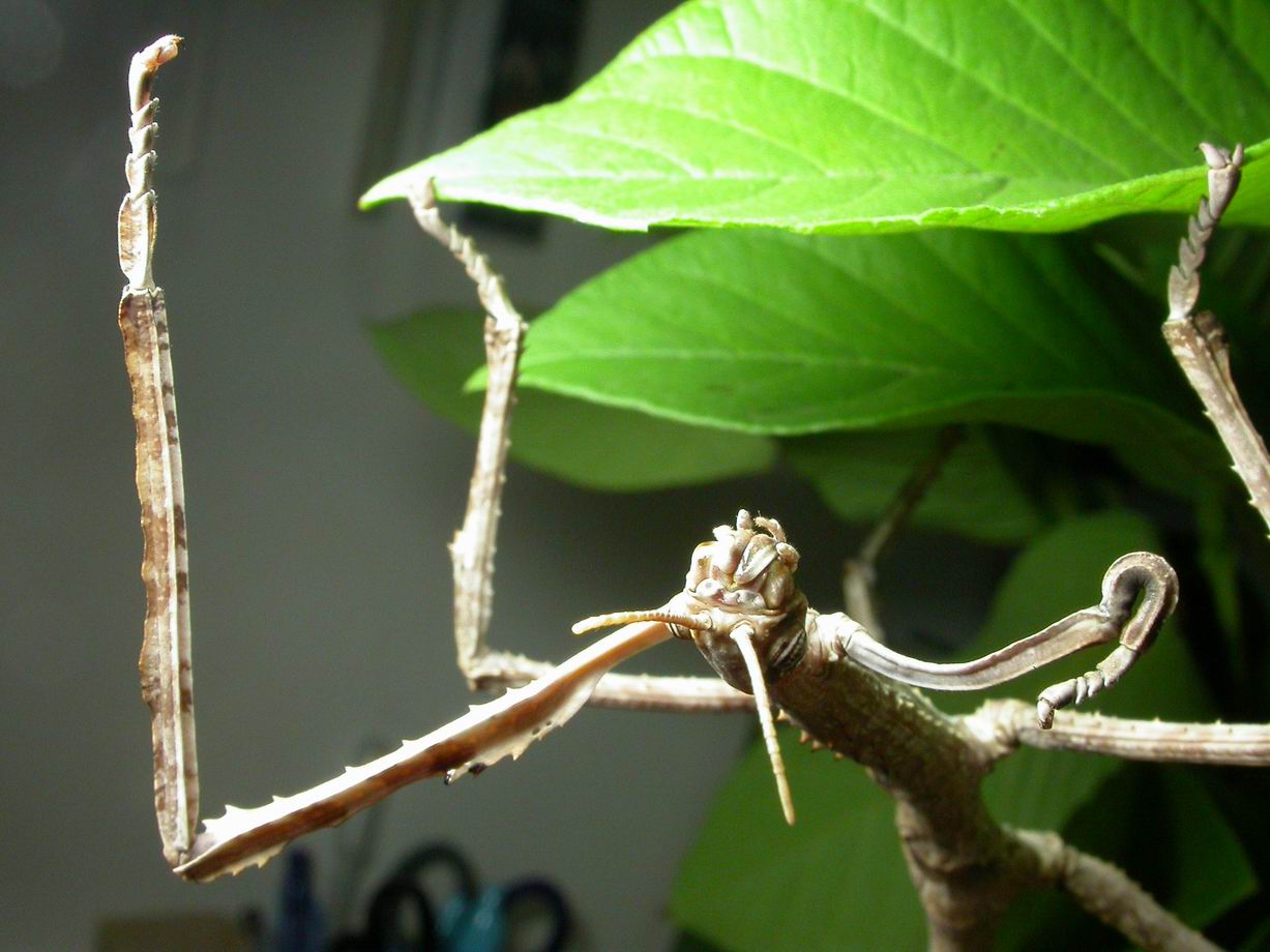 按此在新視窗瀏覽圖片