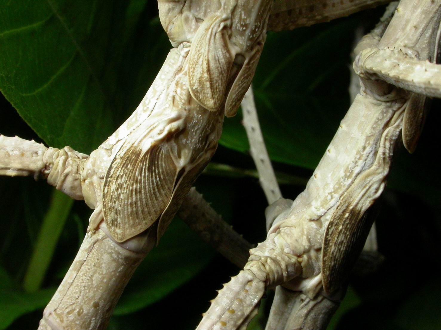 按此在新視窗瀏覽圖片