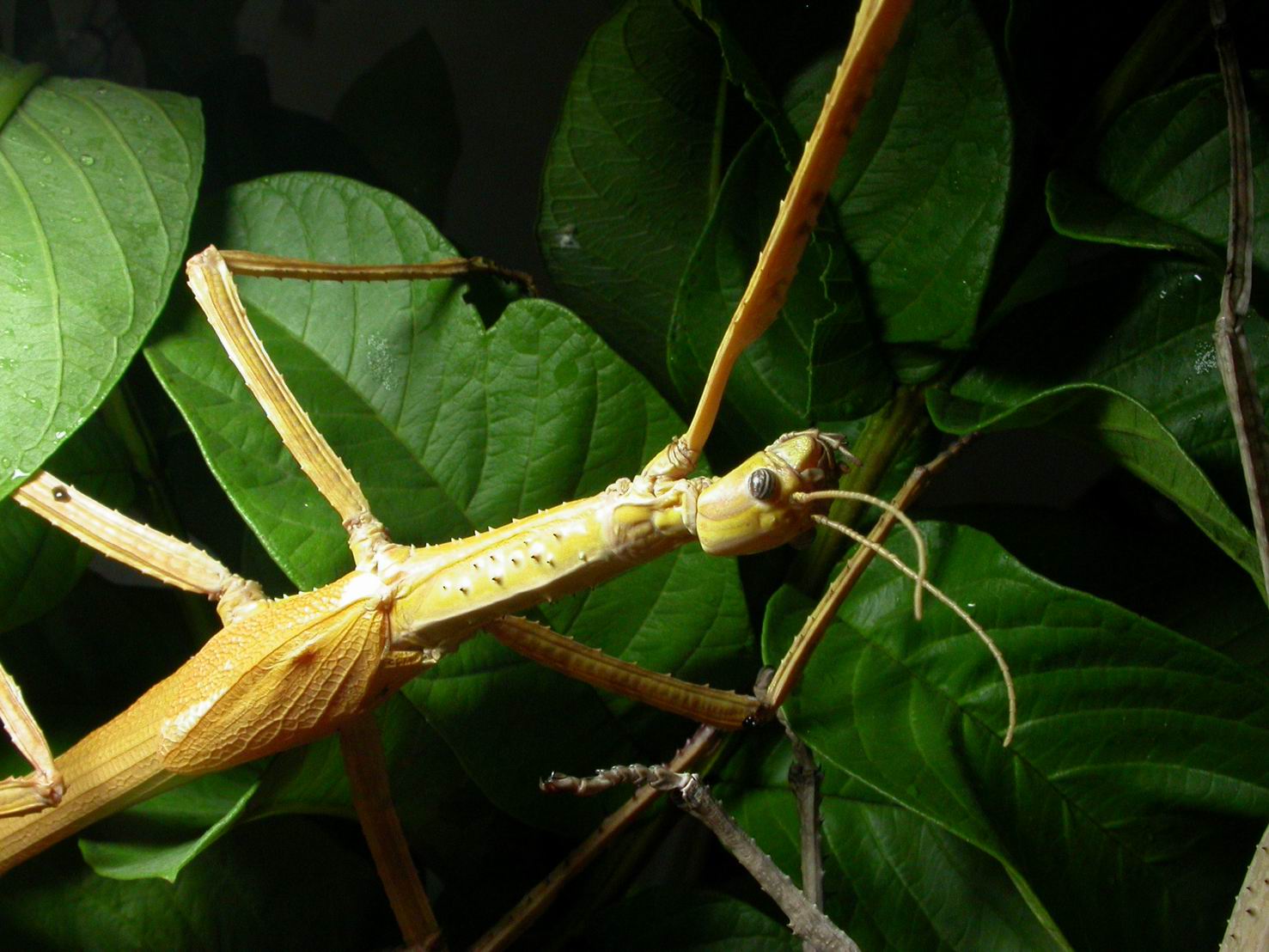 按此在新視窗瀏覽圖片