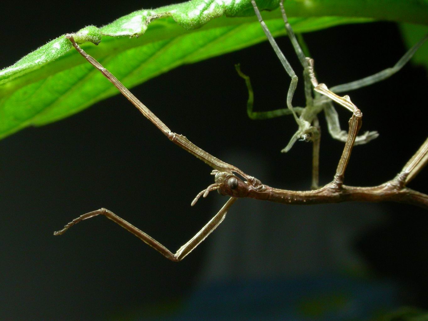 按此在新視窗瀏覽圖片