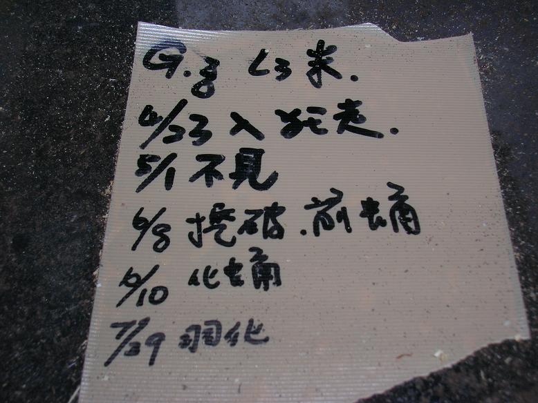 «ö¦¹¦b·sµøµ¡ÂsÄý¹Ï¤ù