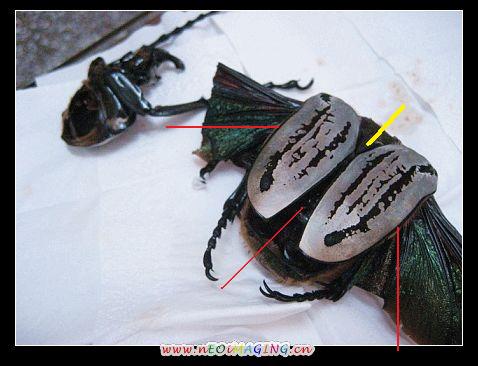 按此在新視窗瀏覽圖片