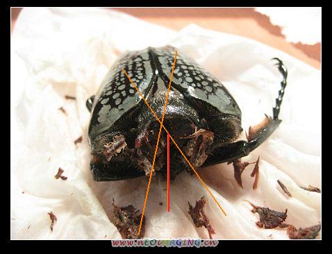 «ö¦¹¦b·sµøµ¡ÂsÄý¹Ï¤ù