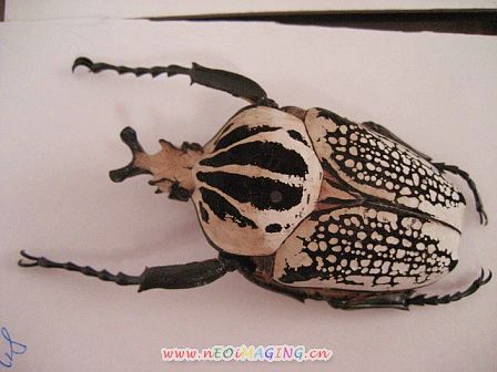 «ö¦¹¦b·sµøµ¡ÂsÄý¹Ï¤ù