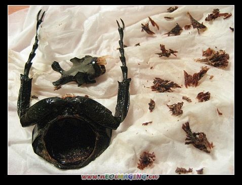 «ö¦¹¦b·sµøµ¡ÂsÄý¹Ï¤ù