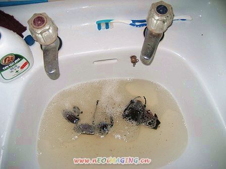 «ö¦¹¦b·sµøµ¡ÂsÄý¹Ï¤ù