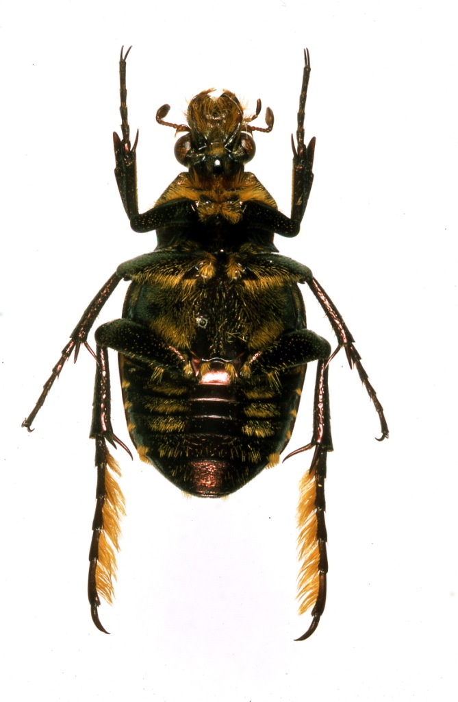 按此在新視窗瀏覽圖片