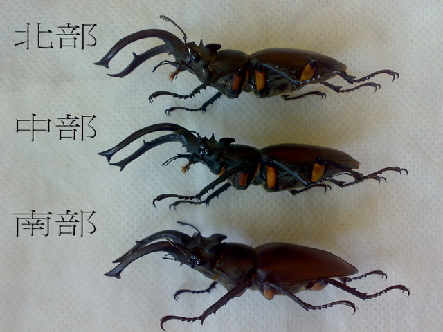 按此在新視窗瀏覽圖片