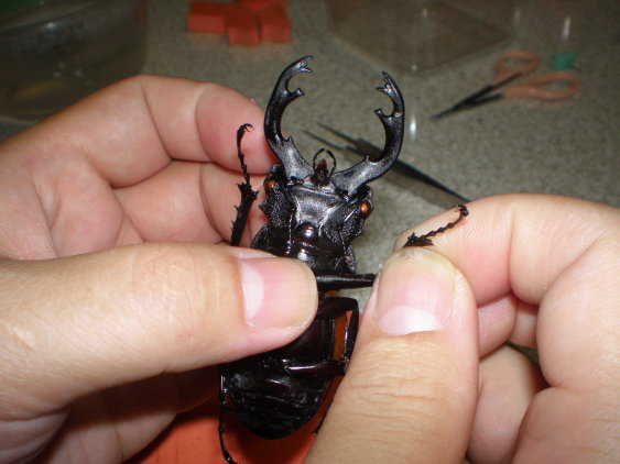 «ö¦¹¦b·sµøµ¡ÂsÄý¹Ï¤ù