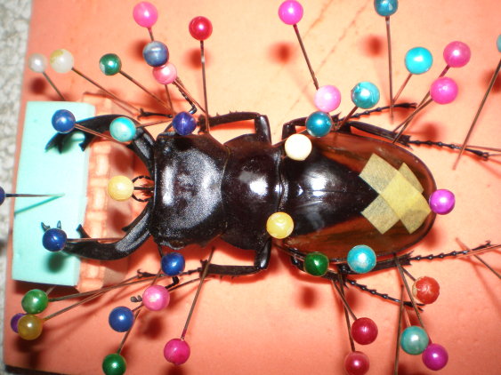 «ö¦¹¦b·sµøµ¡ÂsÄý¹Ï¤ù