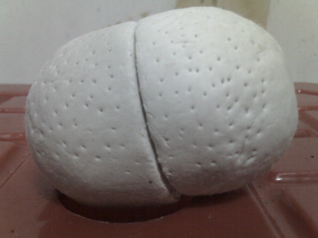 «ö¦¹¦b·sµøµ¡ÂsÄý¹Ï¤ù