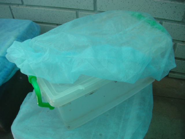 «ö¦¹¦b·sµøµ¡ÂsÄý¹Ï¤ù