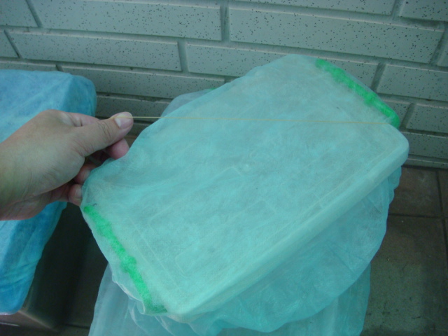 «ö¦¹¦b·sµøµ¡ÂsÄý¹Ï¤ù