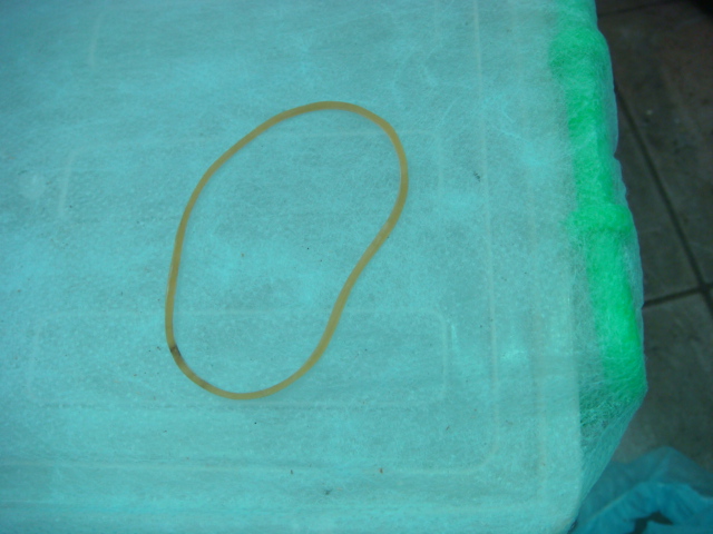 «ö¦¹¦b·sµøµ¡ÂsÄý¹Ï¤ù