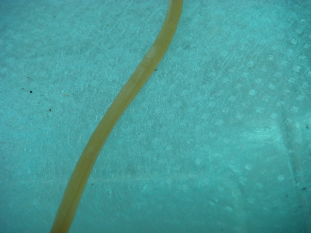 «ö¦¹¦b·sµøµ¡ÂsÄý¹Ï¤ù