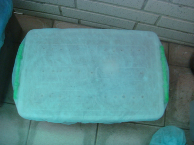 «ö¦¹¦b·sµøµ¡ÂsÄý¹Ï¤ù