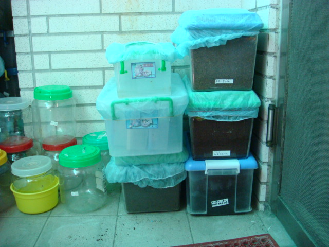 «ö¦¹¦b·sµøµ¡ÂsÄý¹Ï¤ù